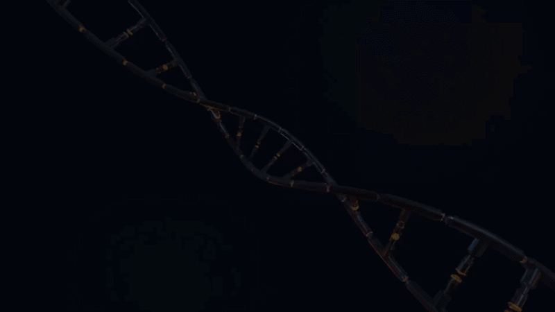 Cosmo Genetics
